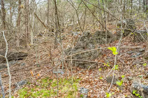 tbd Tract1 Big Bay Rd, Shell Knob, MO 65747 photo 43