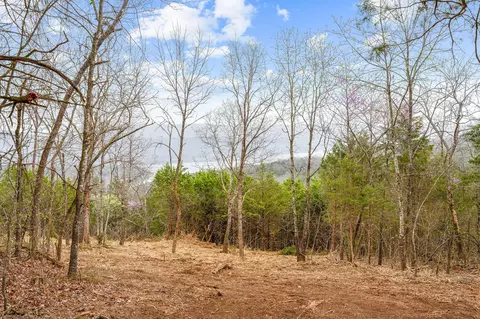 tbd Tract1 Big Bay Rd, Shell Knob, MO 65747 photo 27