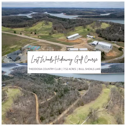 000 Country Club Dr, Theodosia, MO 65761