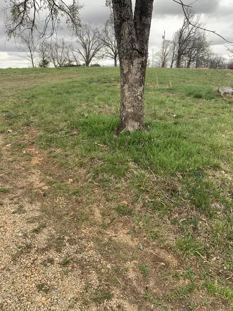 Other - 59 Landrace Loop, Tecumseh, MO 65760 photo 3 of 8