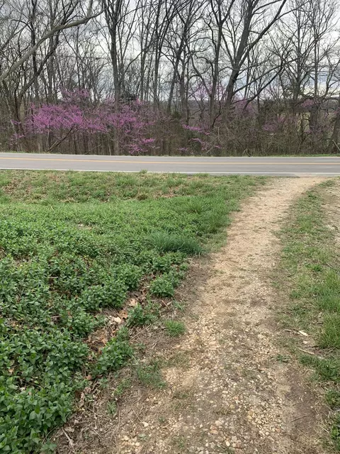 Exterior - 59 Landrace Loop, Tecumseh, MO 65760 photo 6 of 13