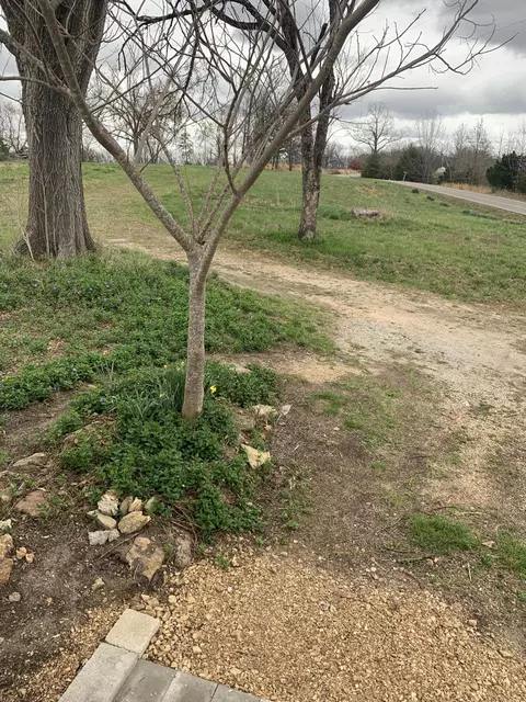 Other - 59 Landrace Loop, Tecumseh, MO 65760 photo 5 of 8