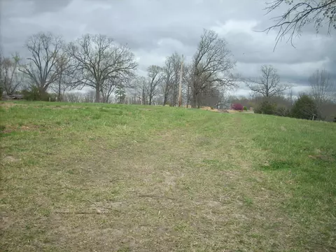 Other - 59 Landrace Loop, Tecumseh, MO 65760 photo 2 of 8