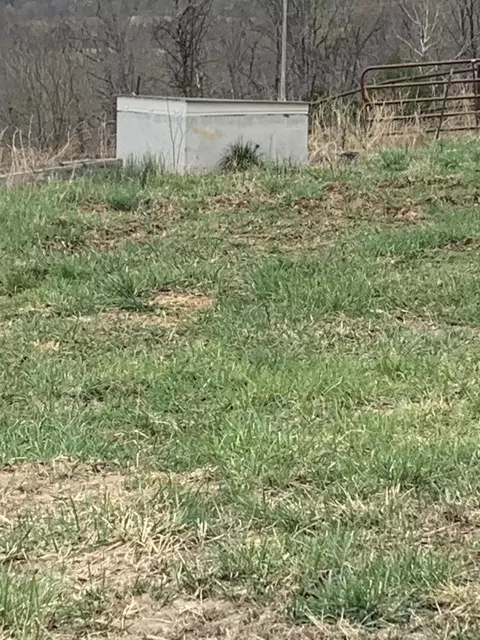 Exterior - 59 Landrace Loop, Tecumseh, MO 65760 photo 13 of 13