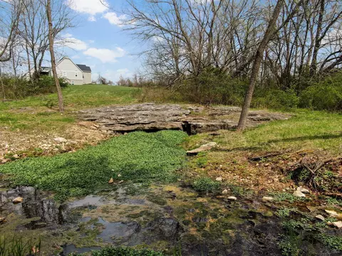 000 N Cheyenne Rd, Nixa, MO 65714 photo 6