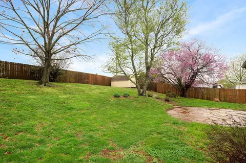 302 W Warren Ave, Ozark, MO 65721 photo 31