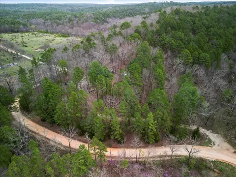 7680 County Road 5150, Dora, MO 65637 photo 21