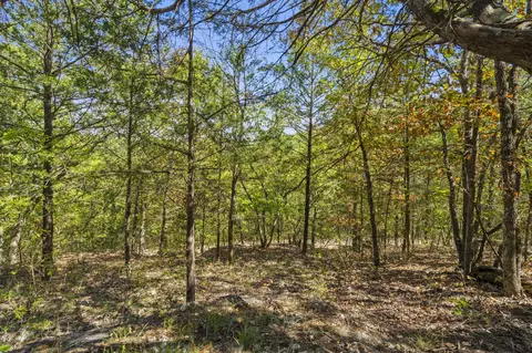 000 Pheasant Run Ln, Lampe, MO 65681 photo 4