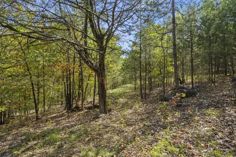 000 Pheasant Run Ln, Lampe, MO 65681 photo 3