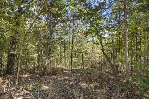 000 Pheasant Run Ln, Lampe, MO 65681 photo 6