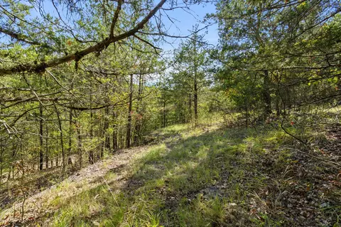 000 Pheasant Run Ln, Lampe, MO 65681 photo 5
