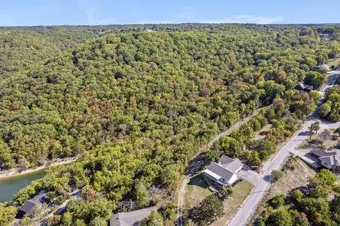 000 Pheasant Run Ln, Lampe, MO 65681 photo 21