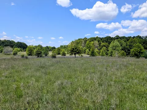 000 County Road 9610 State Rt Pp, Koshkonong, MO 65692