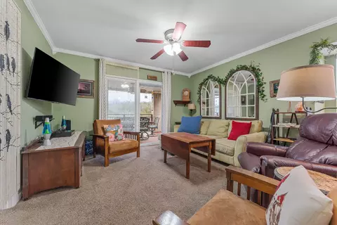 Living - 10 Woodpecker Ln #4, Branson, MO 65616 photo 2 of 4
