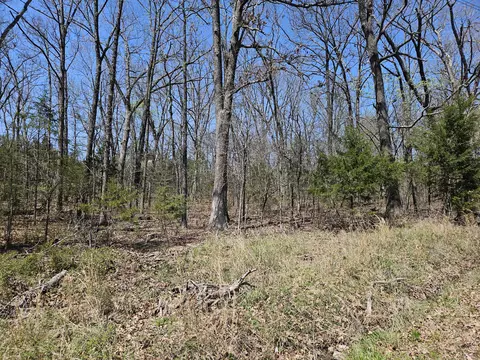 000 W State Highway 76, Ava, MO 65608 photo 5