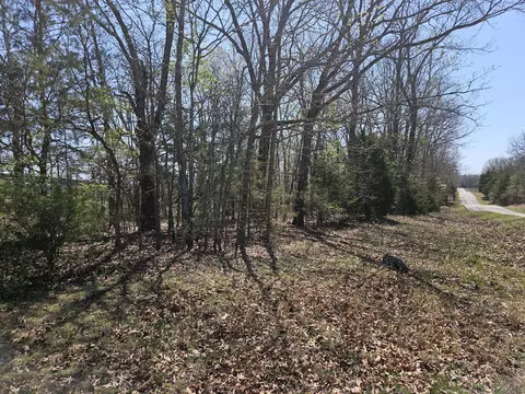 000 W State Highway 76, Ava, MO 65608 photo 4
