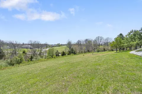 114 Hedge Apple Rd, Spokane, MO 65754 photo 66
