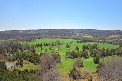 4021 Flat Creek Rd, Cape Fair, MO 65624