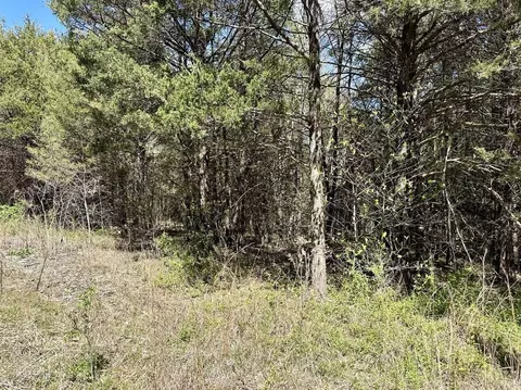 000 E 508th Rd, Morrisville, MO 65710 photo 5