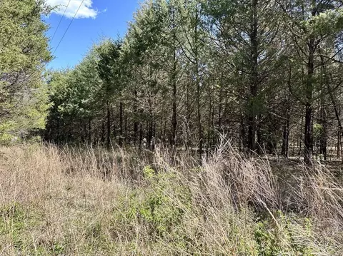 000 E 508th Rd, Morrisville, MO 65710 photo 6