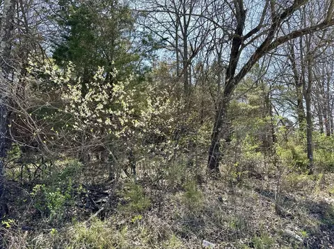 000 E 508th Rd, Morrisville, MO 65710 photo 3