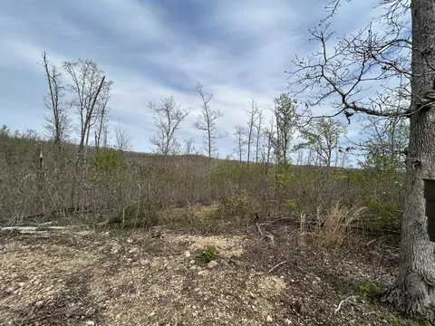 tbd County Road E 76-126, Ava, MO 65608 photo 35