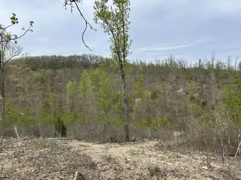 tbd County Road E 76-126, Ava, MO 65608 photo 38
