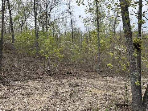 tbd County Road E 76-126, Ava, MO 65608 photo 39