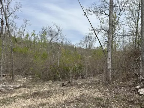 tbd County Road E 76-126, Ava, MO 65608 photo 41