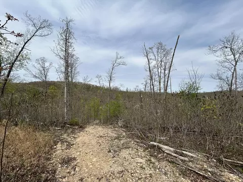 tbd County Road E 76-126, Ava, MO 65608 photo 36