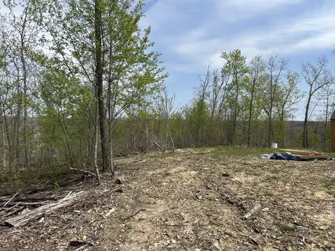 tbd County Road E 76-126, Ava, MO 65608 photo 32