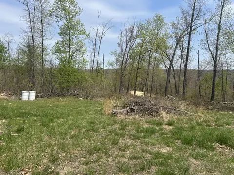 tbd County Road E 76-126, Ava, MO 65608 photo 22