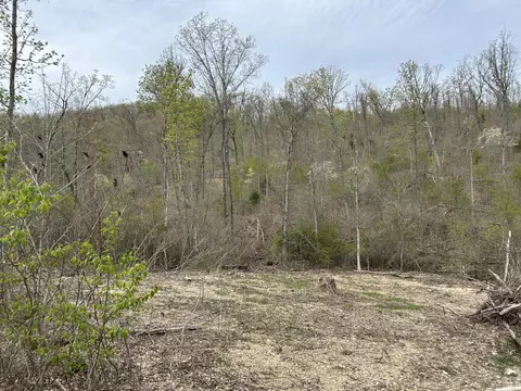 tbd County Road E 76-126, Ava, MO 65608 photo 42