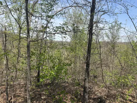 tbd County Road E 76-126, Ava, MO 65608 photo 9