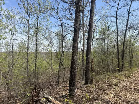 tbd County Road E 76-126, Ava, MO 65608 photo 13