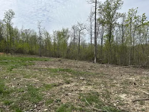 tbd County Road E 76-126, Ava, MO 65608 photo 29