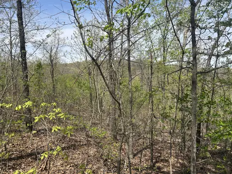 tbd County Road E 76-126, Ava, MO 65608 photo 8