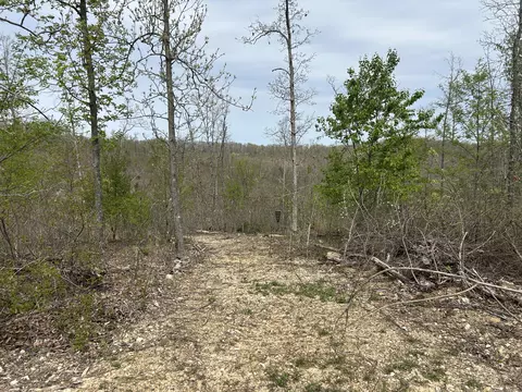 tbd County Road E 76-126, Ava, MO 65608 photo 33