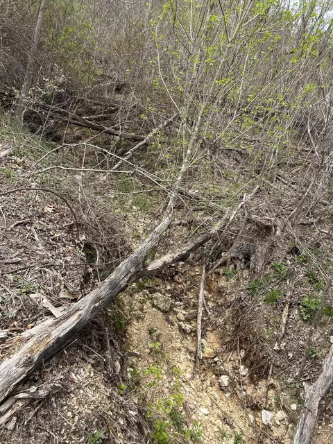 tbd County Road E 76-126, Ava, MO 65608 photo 45
