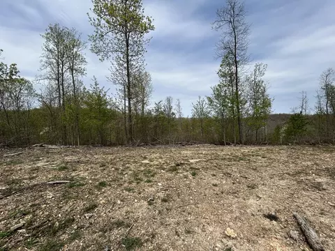 tbd County Road E 76-126, Ava, MO 65608 photo 28