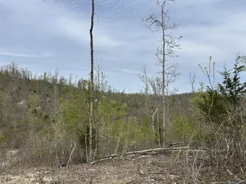 tbd County Road E 76-126, Ava, MO 65608 photo 37