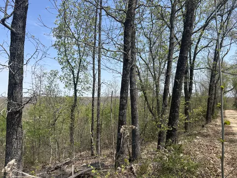 tbd County Road E 76-126, Ava, MO 65608 photo 6