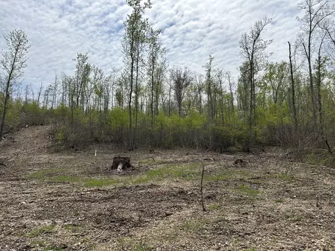 tbd County Road E 76-126, Ava, MO 65608 photo 48