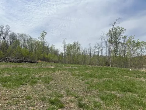 tbd County Road E 76-126, Ava, MO 65608 photo 19