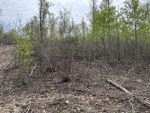 tbd County Road E 76-126, Ava, MO 65608 photo 44