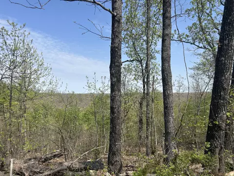tbd County Road E 76-126, Ava, MO 65608 photo 7