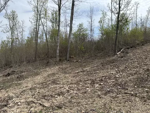 tbd County Road E 76-126, Ava, MO 65608 photo 43