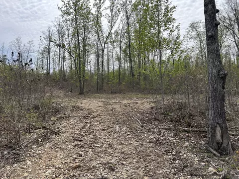 tbd County Road E 76-126, Ava, MO 65608 photo 40