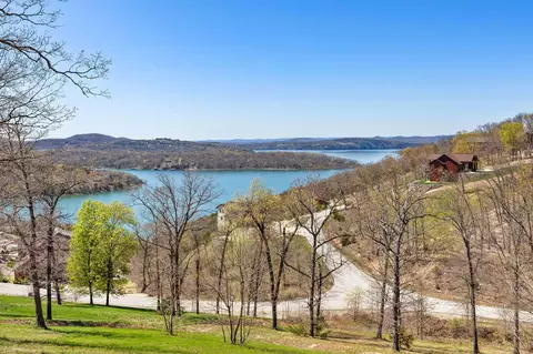 136 Pinnacle Shores Dr, Lampe, MO 65681 photo 3