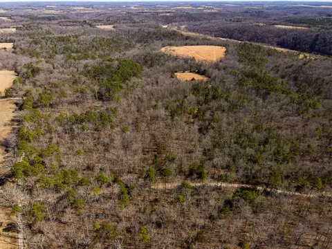 000 County Road 179, Dora, MO 65637